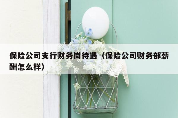保险公司支行财务岗待遇（保险公司财务部薪酬怎么样）