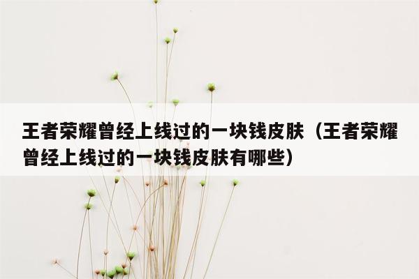 王者荣耀曾经上线过的一块钱皮肤（王者荣耀曾经上线过的一块钱皮肤有哪些）