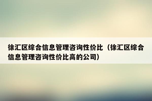 徐汇区综合信息管理咨询性价比（徐汇区综合信息管理咨询性价比高的公司）