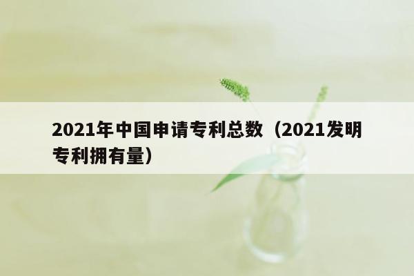 2021年中国申请专利总数（2021发明专利拥有量）