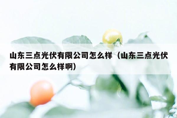 山东三点光伏有限公司怎么样（山东三点光伏有限公司怎么样啊）