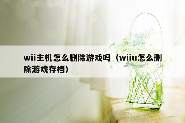 wii主机怎么删除游戏吗（wiiu怎么删除游戏存档）