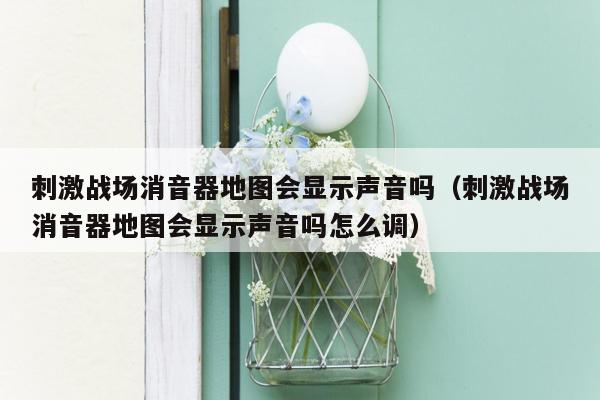 刺激战场消音器地图会显示声音吗（刺激战场消音器地图会显示声音吗怎么调）