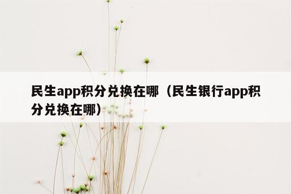 民生app积分兑换在哪（民生银行app积分兑换在哪）
