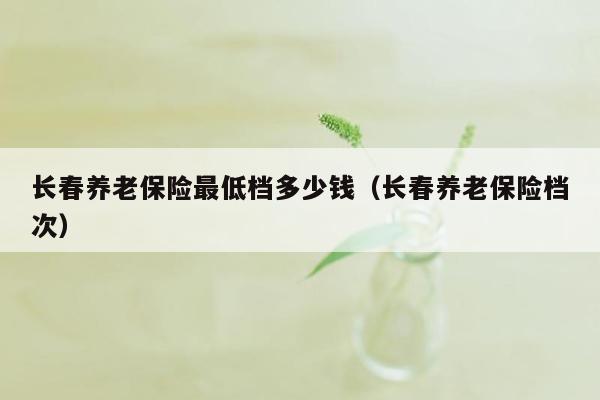 长春养老保险最低档多少钱（长春养老保险档次）