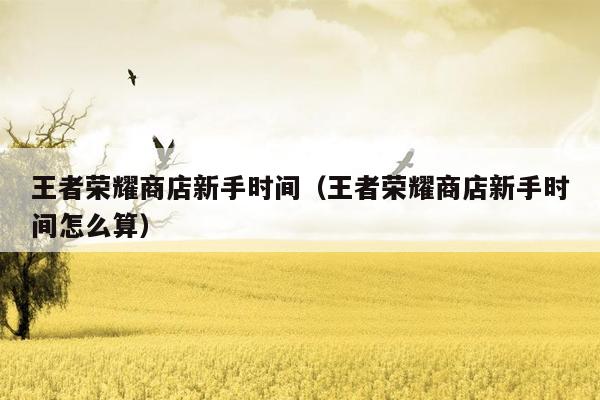王者荣耀商店新手时间（王者荣耀商店新手时间怎么算）