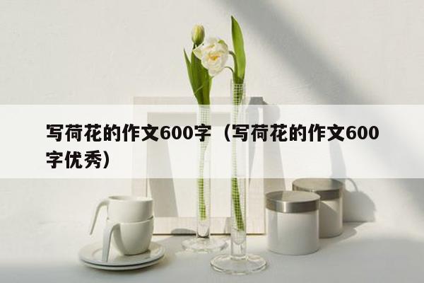 写荷花的作文600字（写荷花的作文600字优秀）