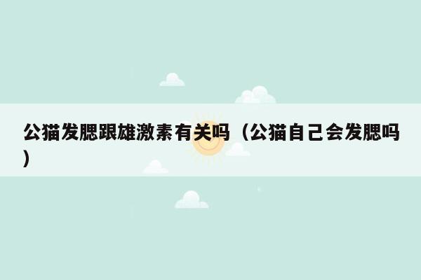 公猫发腮跟雄激素有关吗（公猫自己会发腮吗）
