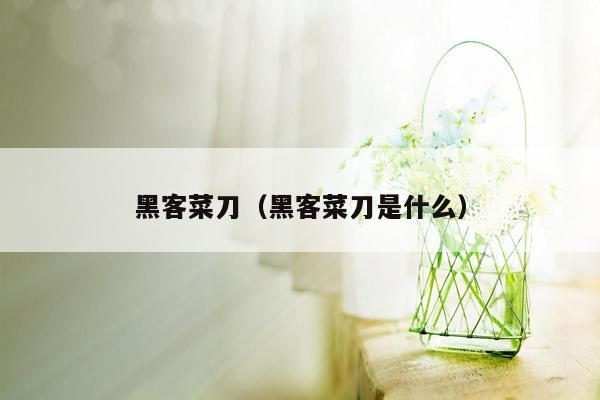 黑客菜刀（黑客菜刀是什么）