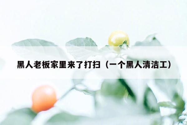 黑人老板家里来了打扫（一个黑人清洁工）
