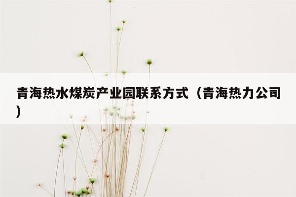 青海热水煤炭产业园联系方式（青海热力公司）