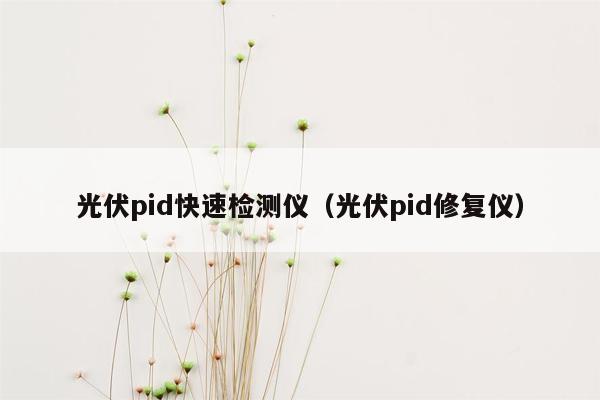 光伏pid快速检测仪（光伏pid修复仪）