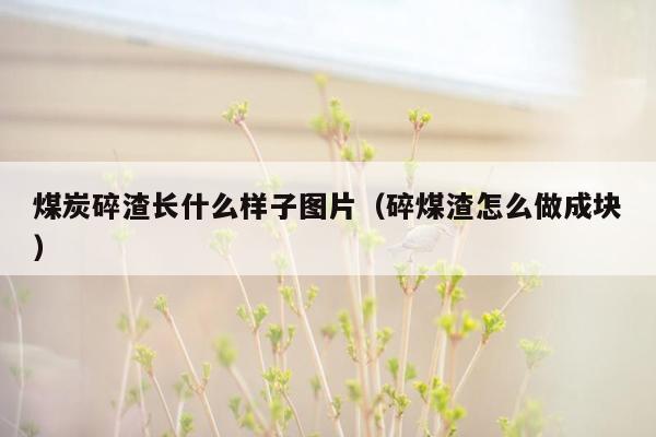 煤炭碎渣长什么样子图片（碎煤渣怎么做成块）
