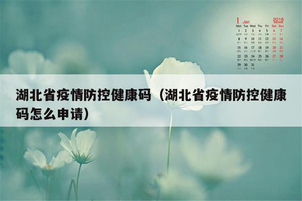 湖北省疫情防控健康码（湖北省疫情防控健康码怎么申请）