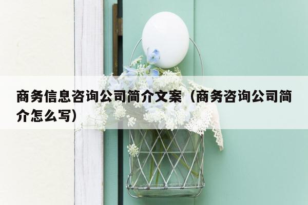 商务信息咨询公司简介文案（商务咨询公司简介怎么写）