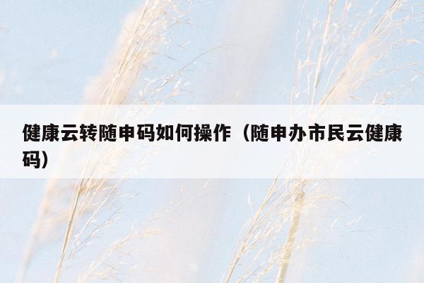 健康云转随申码如何操作（随申办市民云健康码）