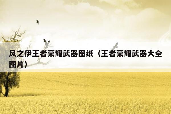 风之伊王者荣耀武器图纸（王者荣耀武器大全图片）