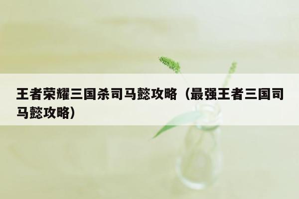 王者荣耀三国杀司马懿攻略（最强王者三国司马懿攻略）