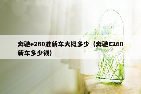 奔驰e260准新车大概多少（奔驰E260新车多少钱）