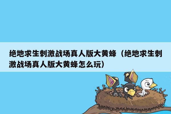 绝地求生刺激战场真人版大黄蜂（绝地求生刺激战场真人版大黄蜂怎么玩）