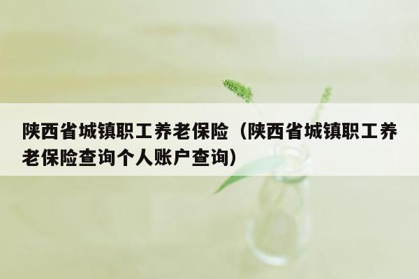 陕西省城镇职工养老保险（陕西省城镇职工养老保险查询个人账户查询）