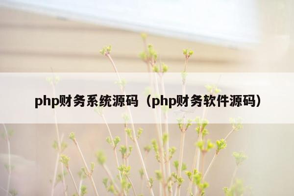 php财务系统源码（php财务软件源码）