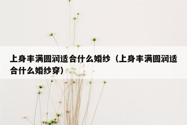 上身丰满圆润适合什么婚纱（上身丰满圆润适合什么婚纱穿）