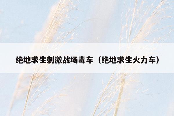 绝地求生刺激战场毒车（绝地求生火力车）