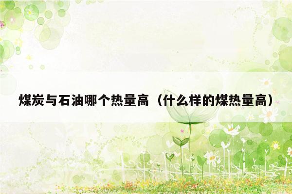 煤炭与石油哪个热量高（什么样的煤热量高）