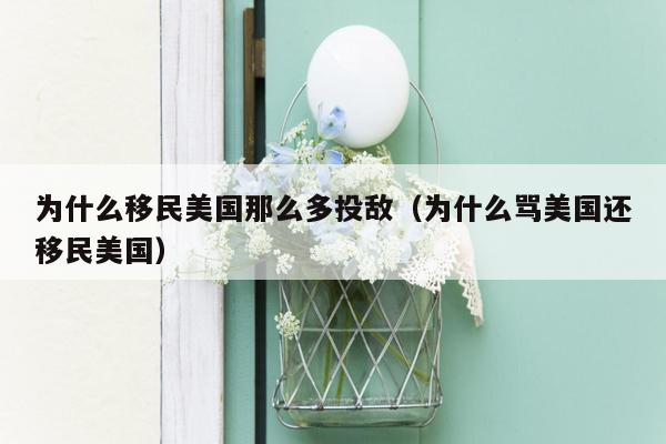 为什么移民美国那么多投敌（为什么骂美国还移民美国）