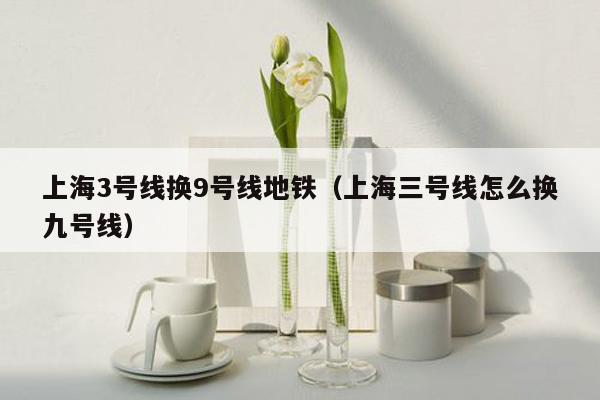 上海3号线换9号线地铁（上海三号线怎么换九号线）