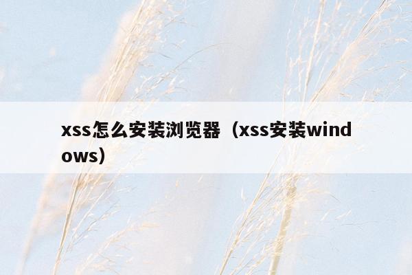 xss怎么安装浏览器（xss安装windows）
