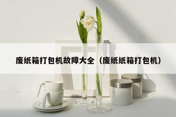废纸箱打包机故障大全（废纸纸箱打包机）