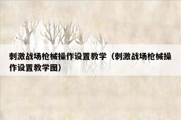 刺激战场枪械操作设置教学（刺激战场枪械操作设置教学图）