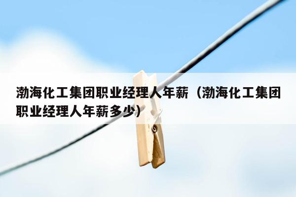 渤海化工集团职业经理人年薪（渤海化工集团职业经理人年薪多少）