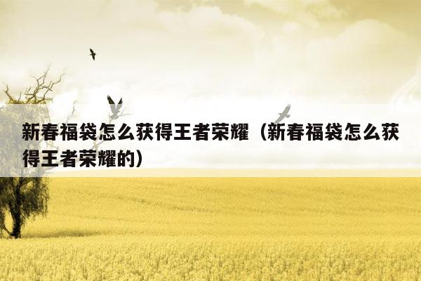 新春福袋怎么获得王者荣耀（新春福袋怎么获得王者荣耀的）