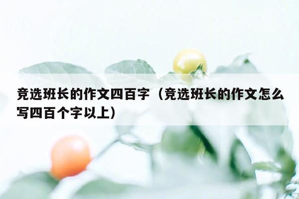 竞选班长的作文四百字（竞选班长的作文怎么写四百个字以上）