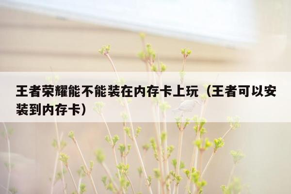 王者荣耀能不能装在内存卡上玩（王者可以安装到内存卡）