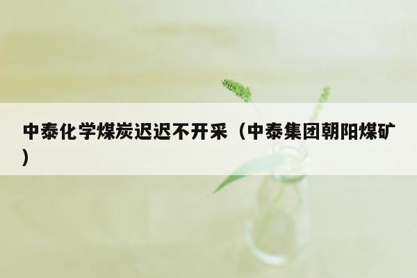 中泰化学煤炭迟迟不开采（中泰集团朝阳煤矿）