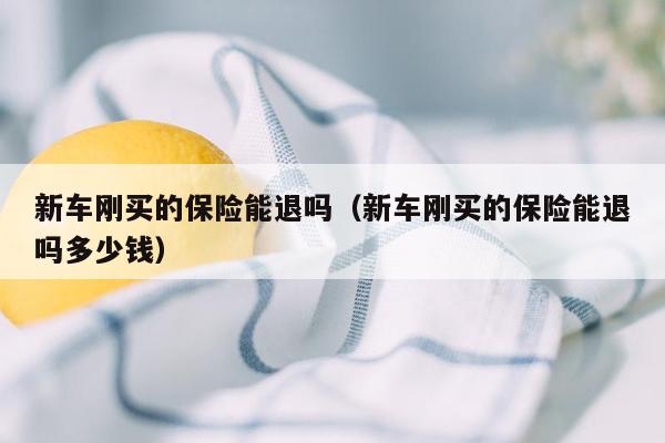 新车刚买的保险能退吗（新车刚买的保险能退吗多少钱）