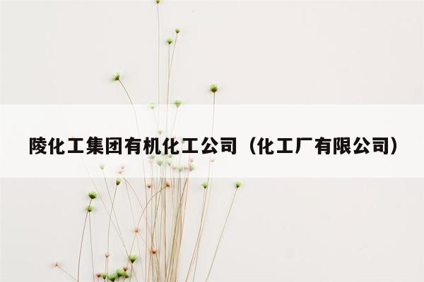 陵化工集团有机化工公司（化工厂有限公司）