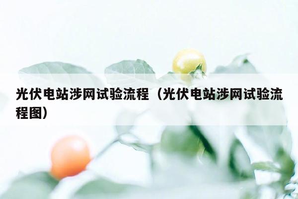 光伏电站涉网试验流程（光伏电站涉网试验流程图）