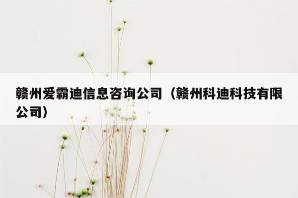 赣州爱霸迪信息咨询公司（赣州科迪科技有限公司）