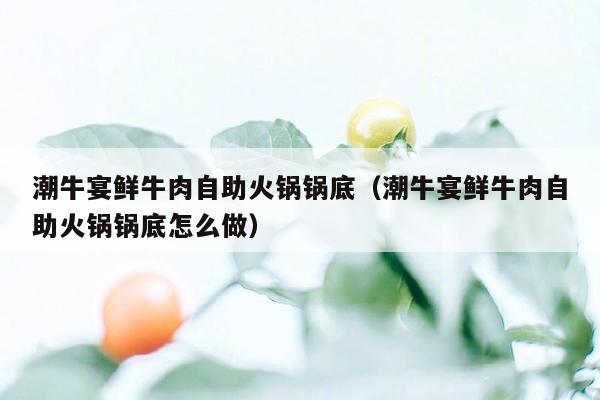潮牛宴鲜牛肉自助火锅锅底（潮牛宴鲜牛肉自助火锅锅底怎么做）