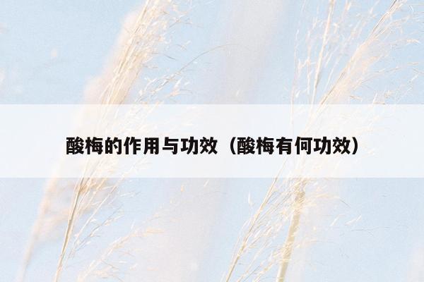 酸梅的作用与功效（酸梅有何功效）