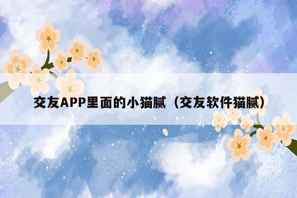 交友APP里面的小猫腻（交友软件猫腻）