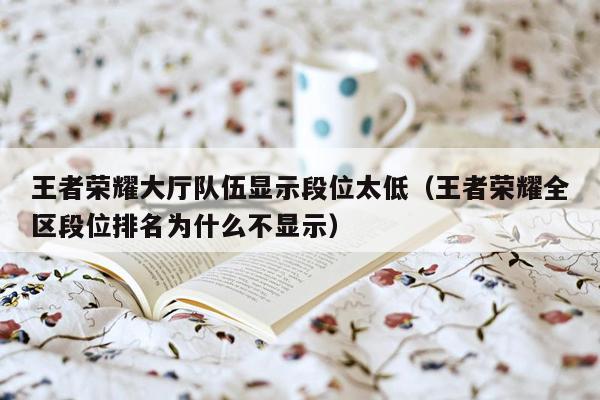 王者荣耀大厅队伍显示段位太低（王者荣耀全区段位排名为什么不显示）