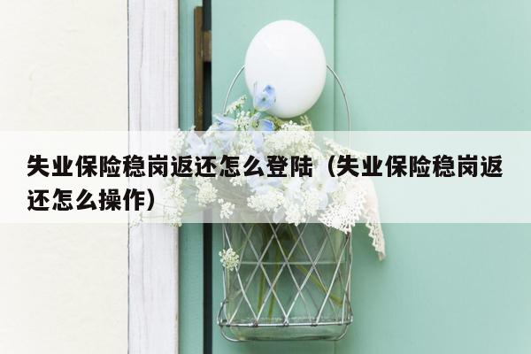失业保险稳岗返还怎么登陆（失业保险稳岗返还怎么操作）