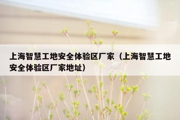 上海智慧工地安全体验区厂家（上海智慧工地安全体验区厂家地址）