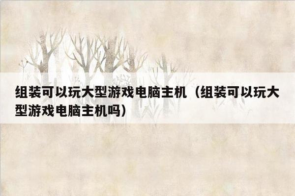 组装可以玩大型游戏电脑主机（组装可以玩大型游戏电脑主机吗）